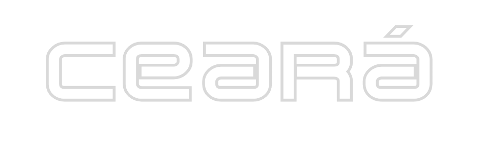Customizados (1).png