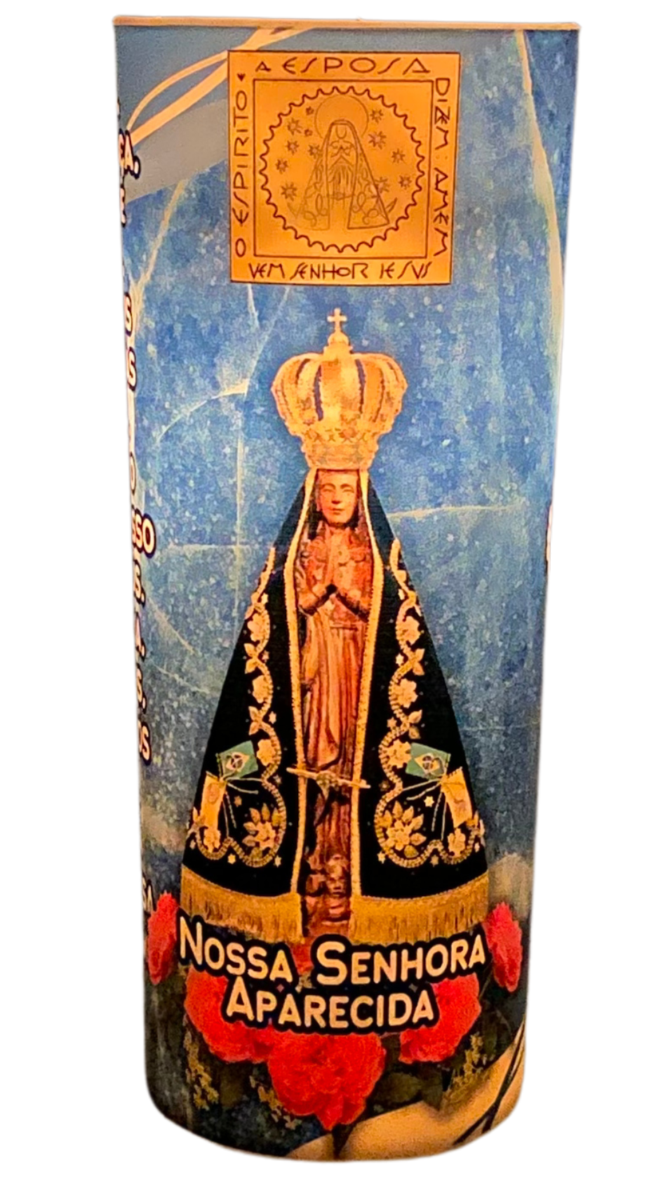 Nossa Senhora Azul (2).png